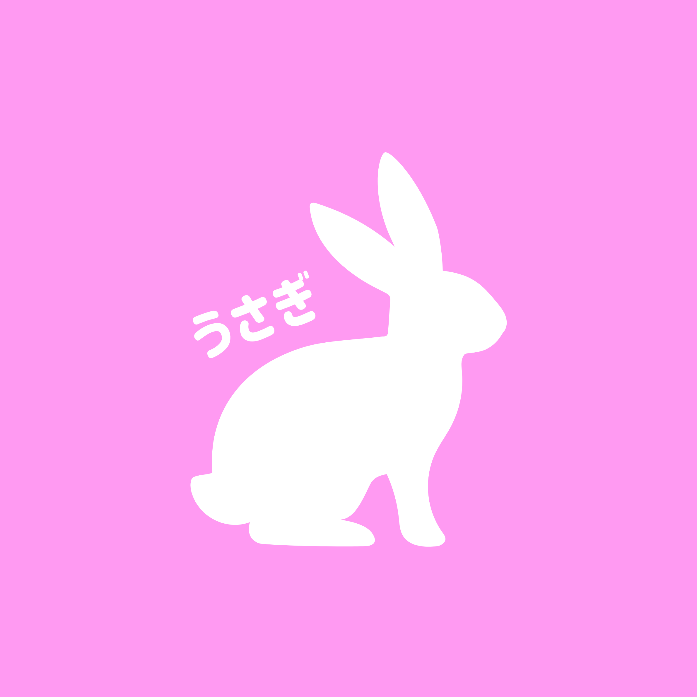 動物